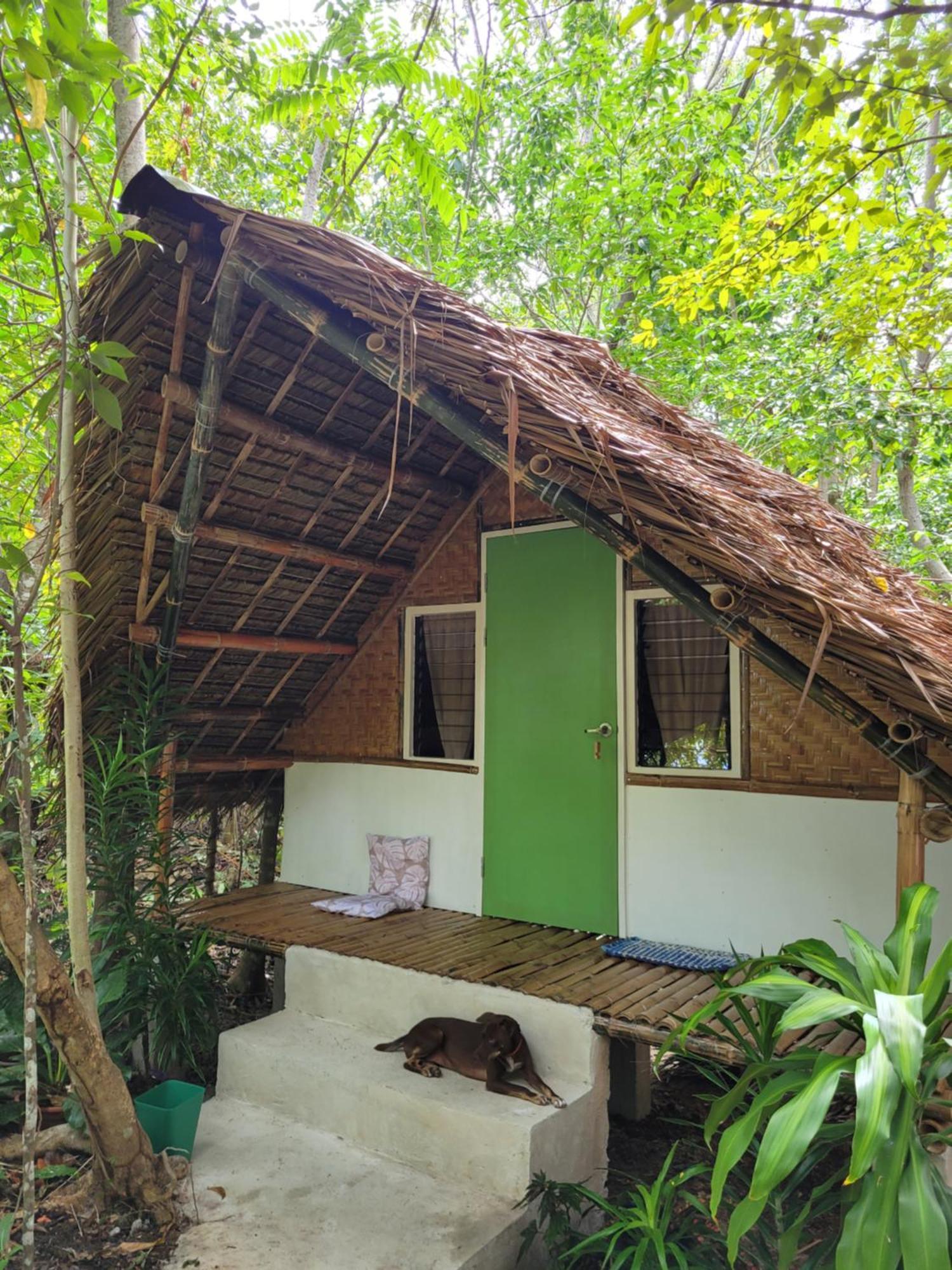 Lazy Lizard Hostel Сикиджор Стая снимка